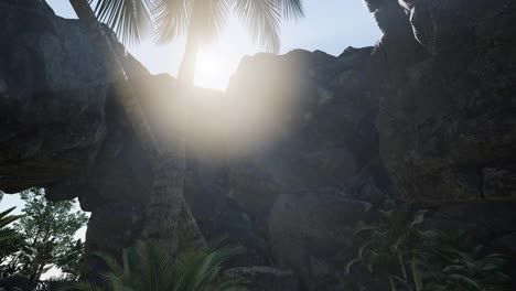 Sunbeam-in-cave-with-palms